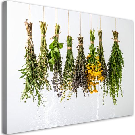 Wandbild Getrocknete Kräuter Gewürze 60x40 cm (1/5)