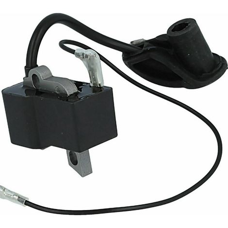Bobine d'allumage pour BR500 BR550 BR600 4282 400 1310