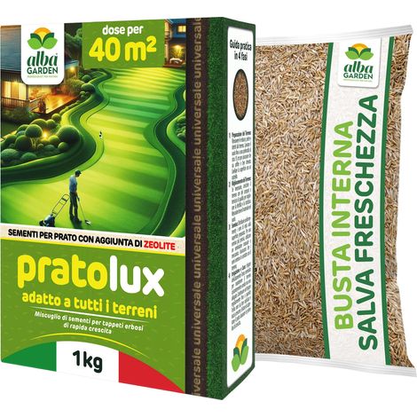 Graines de gazon universelles résistantes 40 m² Pour zones ombragées et ensoleillées Semences d'herbe pour tapis herbeux hiver été Peut être piétiné Croissance rapide (1/5)