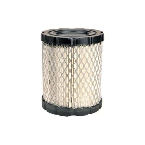 Filtro Air BRIGGS et STRATTON 798897