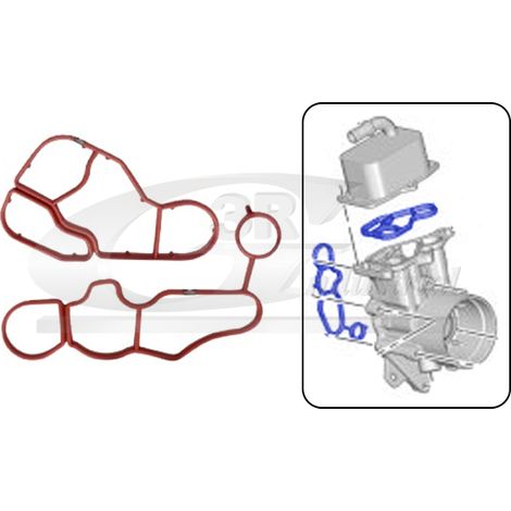 3RG 76202 KIT JUNTAS INTERCAMBIADOR (2PCS)