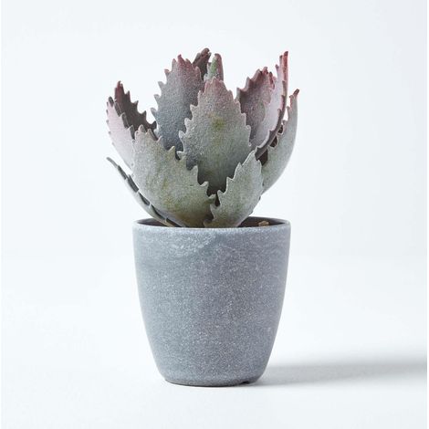 HOMESCAPES Purple and Green Aloe Vera Artificial Succulent in Grey Pot, 21 cm Tall (1/4)