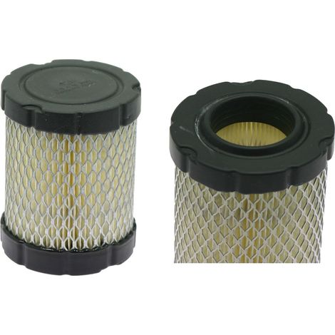 Filtro Aria AVS ultimi tipi 31C700, 31E700, 31P677 BRIGGS &ampSTRATTON