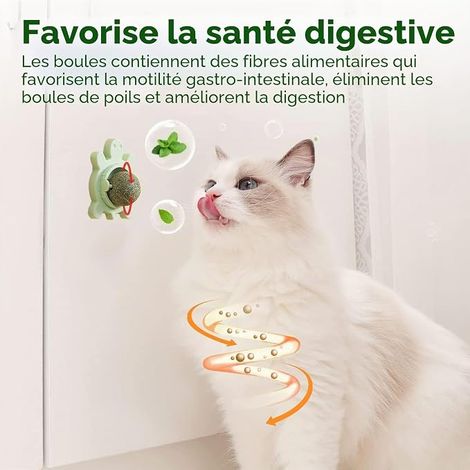 Jouet Herbe à Chat Tortue, Boule Herbe à Chat Murale Rotative, Catnip Ball Herbe à Chat Nettoyage Dents, Digestion Chats (1/4)