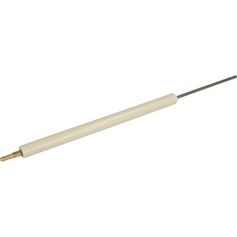 Électrode d’ionisation