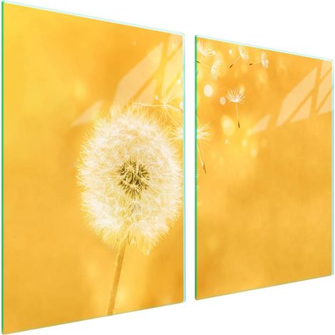 Plaque de protection en verre pour poêle 2x45x52 Fleur (1/5)