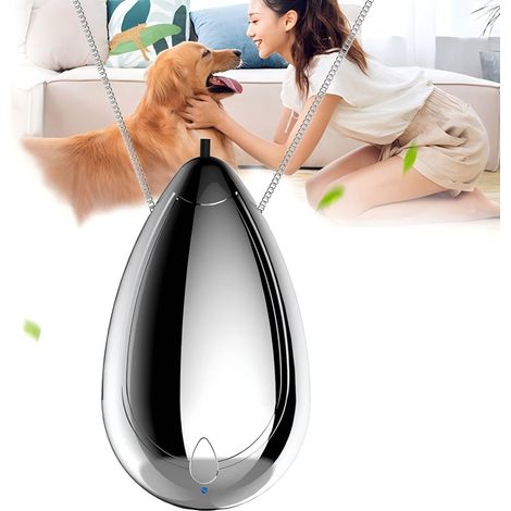 Purificateur d'air portable, collier personnel rechargeable, Argenté Mini ioniseur d'air, Élimine pollen, fumée, poussière, Pour extérieur et voyages (1/5)