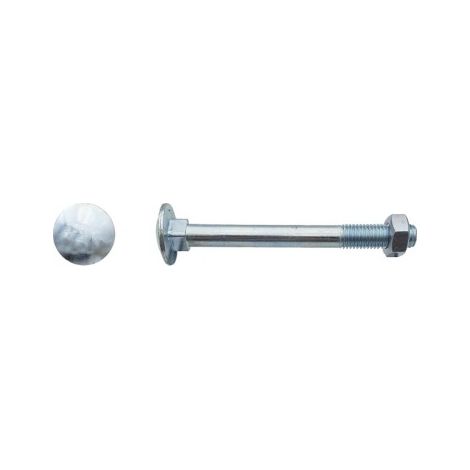 Bullone a testa tonda incollata (TRCC) zincato bianco - 16 x 180 mm - Confezione da 10 - LENNIE - BTRCC1618002B