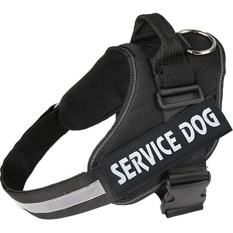 Anti-Zug-Hundegeschirr, ideal für sanftes Training und Spaziergänge. (1/4)