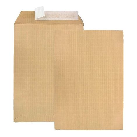 Pochette kraft armé brun 229 x 324 mm 120 g - Boîte de 10 (1/2)