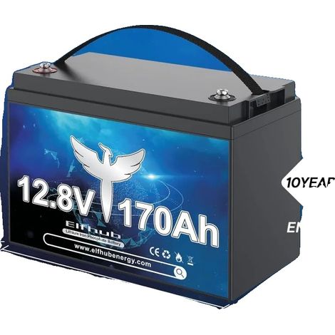 Batterie LiFePO4, capacité de 170Ah, surveillance Bluetooth, 12V170Ah- Bluetooth (1/2)