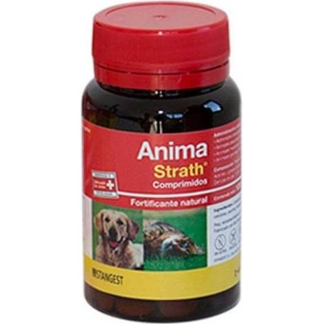 STANGEST ANIMA STRATH 120CPD (1/3)