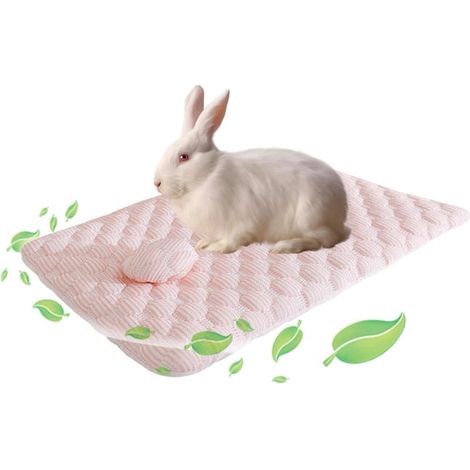 Kühlmatte für Kaninchen, 41 x 30 cm, Sommermatte für Kaninchen, Hamster und andere Kleintiere, Kühlmatte für kleine Katzen, Rosa (1/5)