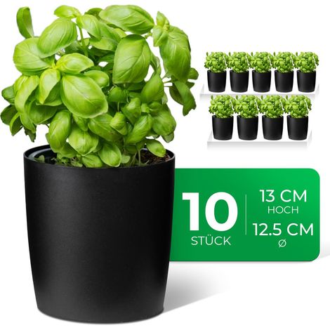 10x Novaliv Kräutertopf 10x Kräutertöpfe (1/5)