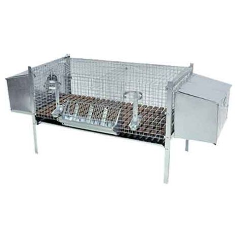 GABBIA PER CONIGLI DUE FATTRICI cm 100x50x70h