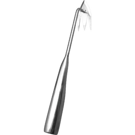 Désherbeur Manuel en Acier Inoxydable Solide pour Jardin et Parc Public, Outil de Jardin Ergonomique pour Éliminer Les Racines, Facile à Ranger (1/5)
