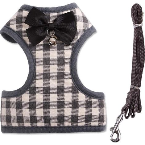 Chat Teddy Petit Chien Laisse Bichon Pomeranian Schnauzer Corset (1/4)