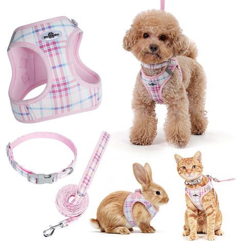 Filiyano – kit de voyage pour – Ensemble laisse pour chien, harnais-gilet, collier pour petit chien, kit de voyage pour promener son chien