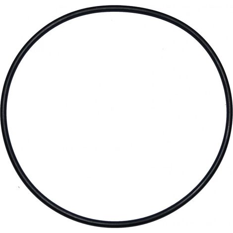 O-Ring mit 180 mm Durchmesser für Ardeche-Filterkuppel (d.205mm)