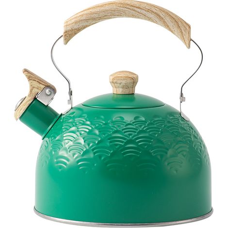 Hervidor de agua silbante de acero inoxidable de 2,5 l para cocinas de leña, gas e inducción (1/4)