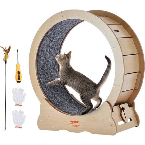 Roue d'Exercice pour Chat 750 mm Grande Roue de Course pour Chat (1/5)