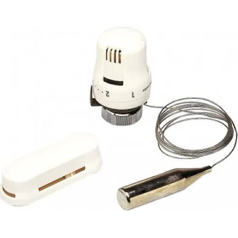 Testa termostatica con sensore remoto (2M)