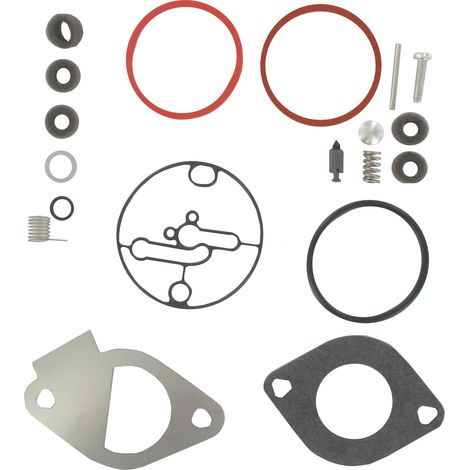 Kit de carburateur BRIGGS ET STRATTON 796184