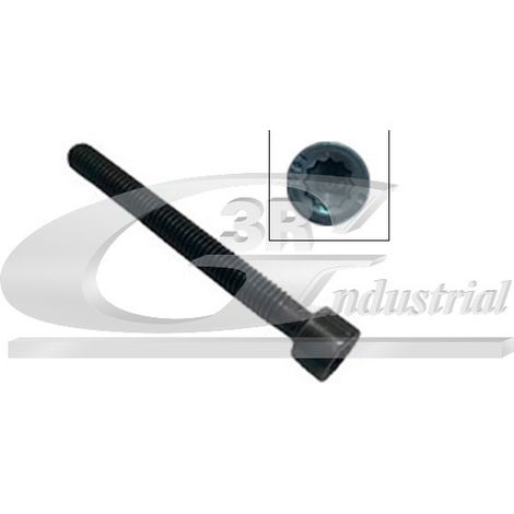 3RG 99703 TORNILLO INYECTOR
