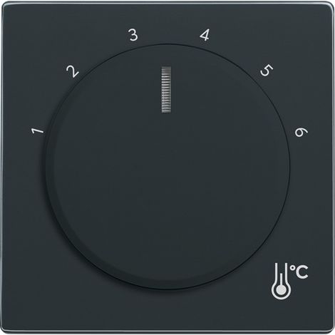 BUSCH-JAEGER 1794 R-81 SUPPORT POUR CAPTEUR ET COUVRE-PIED ANTHRACITE (2CKA001710A4198) (1/3)