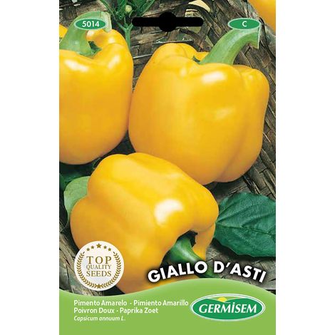 Germisem graines Poivron doux GIALLO D'ASTI