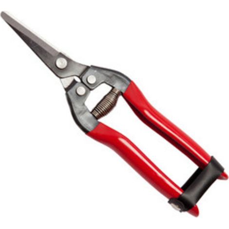 FORBICI P/UVA FALCI LAME DRITTE 19 CM- FALCI- 1,0 pz