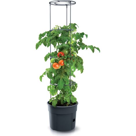 Tomaten Pflanztopf rund mit Rankhilfe - 153 x 29 cm - Anwuchshilfe mit integriertem Bewässerungsboden - Pflanz Turm für Rankgewächse Höhe 4-fach anpassbar