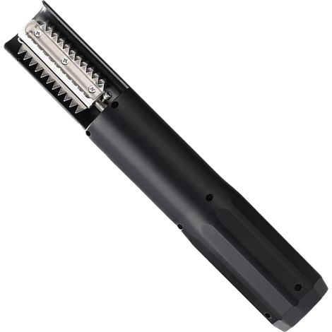 cailler le Poisson Outil liminateur dcailles Rechargeable (1/5)