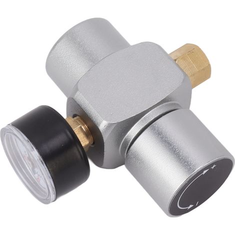 Réducteur de pression d'eau 0-60 PSI en acier inoxydable, régulateur de pression multifonctionnel pour tuyau d'arrosage, idéal pour le brassage amateur (1/5)