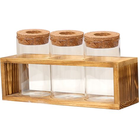 Hydroponischer Blumentopf mit Deckel und Untersetzer – 3 dekorative Glastöpfe für Schreibtisch und Fensterbank – Geschenkidee mit Pflanzen (1/5)