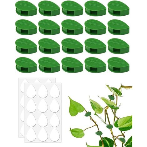 40 Pflanzenclips, Wandpflanzenstützclips, Befestigungsclips für Kletterpflanzen, Gartenpflanzen und Stängel an der Wand. (1/5)
