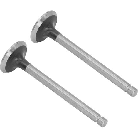 Kit de 2 soupapes d'admission et d'échappement en acier allié sans bavures pour mini-motoculteur (1/5)