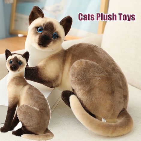 Peluche Chat Siamois - 25 cm - Modèle Réaliste - Jouet en Peluche Douce pour Enfants - Idéal comme Cadeau d'Anniversaire ou de Noël - 1 Pièce (1/5)