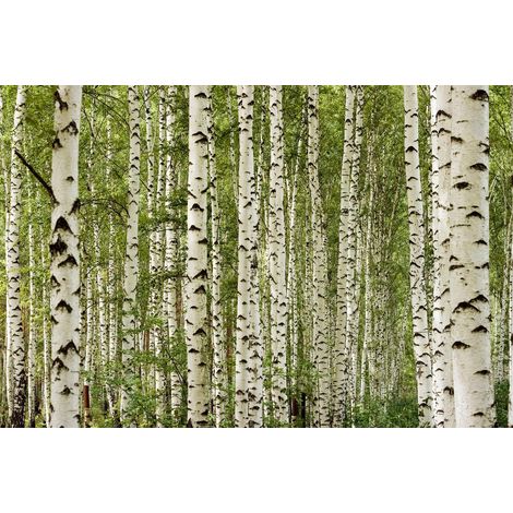 Papier peint Cloudy Beach 3,75 m x 2,50 m Papier peint Fauteuil de plage en beige, bleu y compris colle DD129577 (1/3)