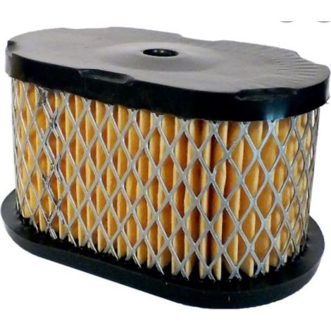 Filtro Aire compatible con B&S 497725, 494586, 497725S