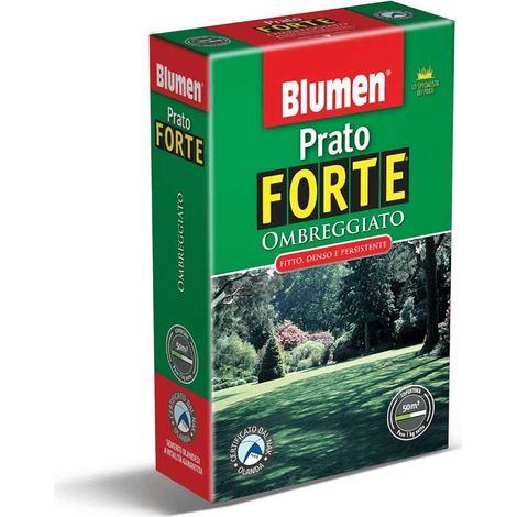 PRATO FORTE OMBREGGIATO 200GR BLUMEN