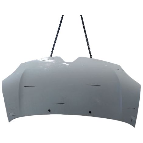 Capot RENAULT Twingo [PRODUIT D'OCCASION]♻️651006821r (1/4)