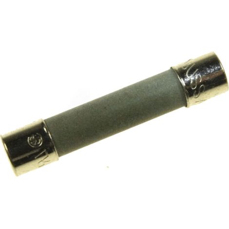 FUSIBLES 20A pour MICRO ONDES SHARP - QFSBA012WRZZ (1/2)