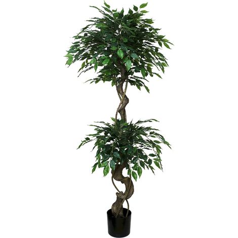 ficus benjamin vert réaliste pour une touche végétale élégante - vert feuillage naturel et tronc marron (1/3)