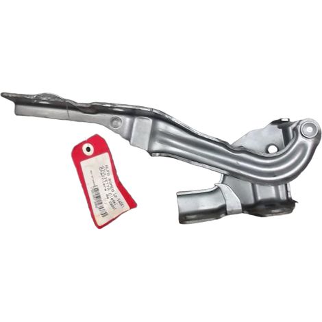 Compas Gauche Capot ALFA ROMEO Giulietta [PRODUIT D'OCCASION]♻️50519481 (1/3)