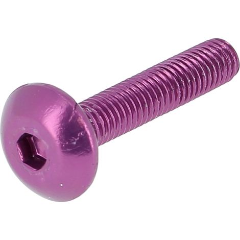 Blister de 8 TRLHC M5X25 Alu P60 OA Violet