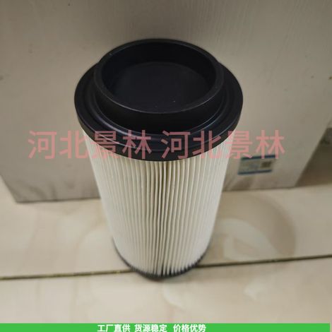 400 500 550 7080595 7082101 Polaris Beach Motorbike Air Filter Element (1/4)