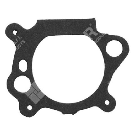 Junta de filtro para carburadores BRIGGS & STRATTON 272653 - 795629 - 003538
