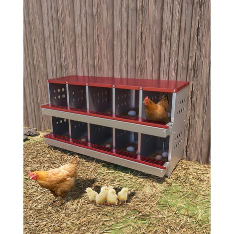 Pondeuse galvanisée 10 alvéoles avec perchoir et ramasse-œufs – Antirouille, murale ou sur pied, pour poules, canards, rouge (1/5)
