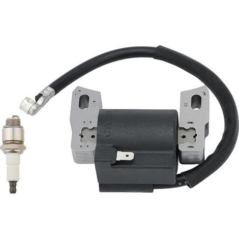 Bobine d'allumage 590454 799381 790817 692605 802574 (1/5)